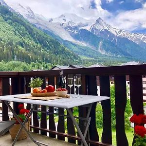 Mont Blanc 43, Vue Mont Blanc , Balcon, Parking Chamonix